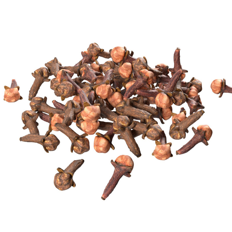Cloves Pile 3D Model .c4d .max .obj .3ds .fbx .stl .blend