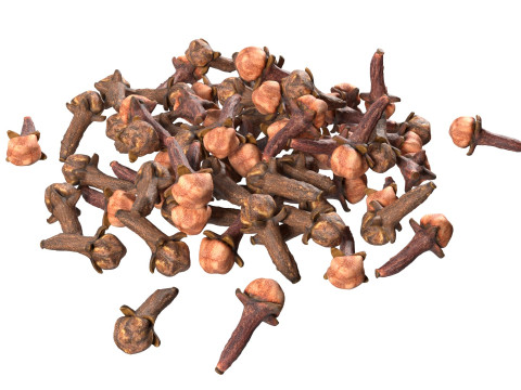 Cloves Pile 3D Model
