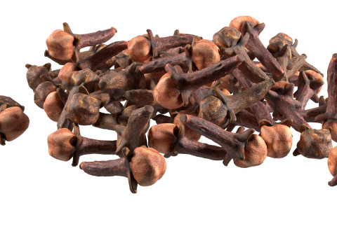 Cloves Pile 3D Model