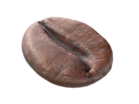 Coffe bean v2 3D 模型