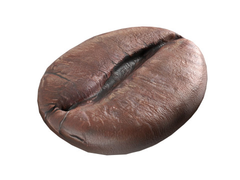 Coffe bean v2 3D 模型