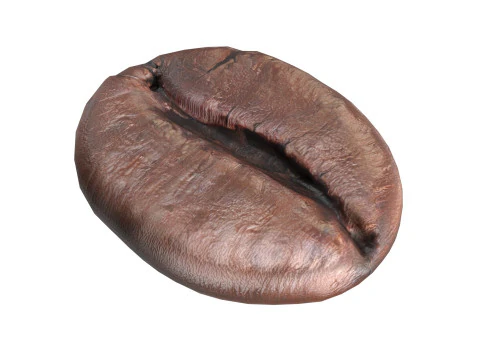 Gr&atilde;o de caf&eacute; v2 Modelo 3D