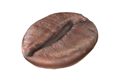 Gr&atilde;o de caf&eacute; v2 Modelo 3D