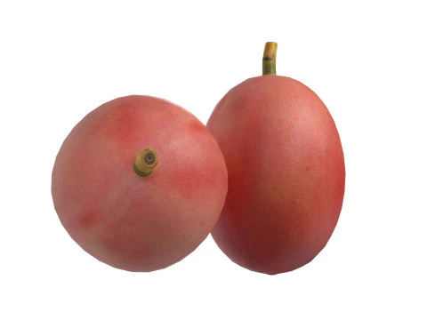 Coffee bean red raw 3D Model