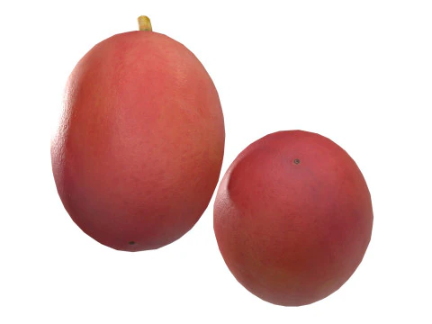 Coffee bean red raw 3D Model