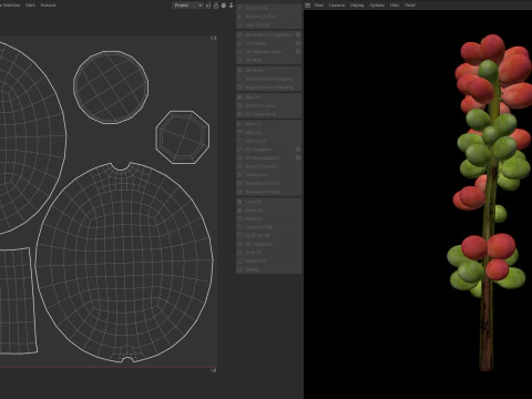 Coffee bean stem 3D Model