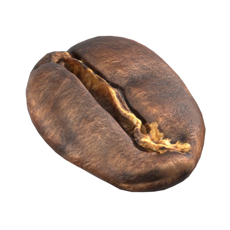 Coffee bean v1 3D 模型 .c4d .max .obj .3ds .fbx .stl .blend