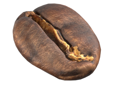 Coffee bean v1 Model 3D
