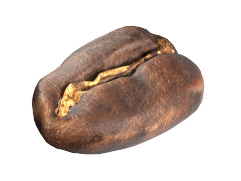 Coffee bean v1 3D 模型