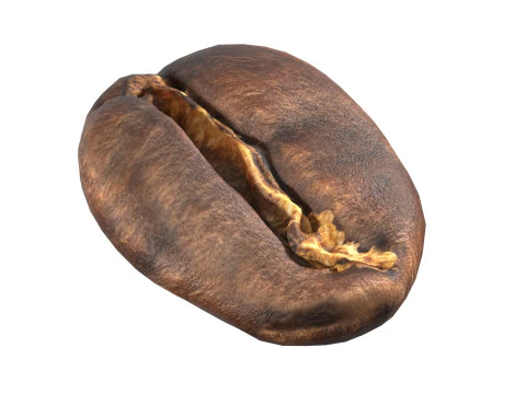 Coffee bean v1 3D Model