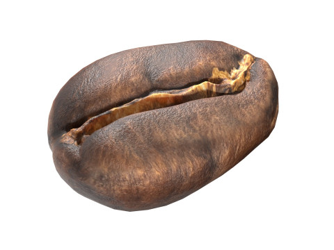 Coffee bean v1 3D 模型