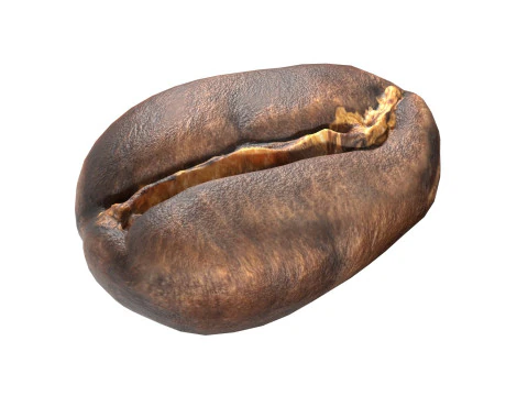 Coffee bean v1 3D Model
