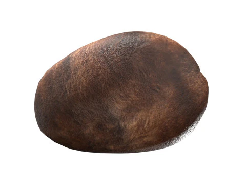 Coffee bean v1 3D Model