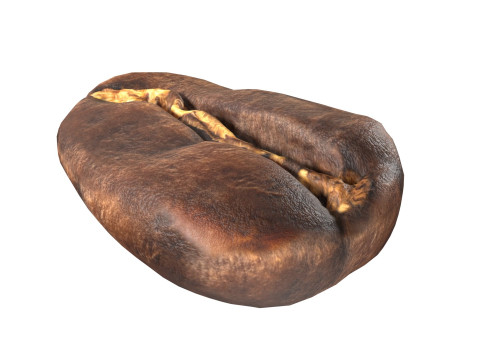 Coffee bean v1 3D 模型