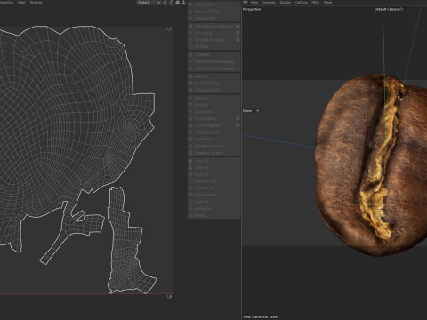 Coffee bean v1 3D 模型