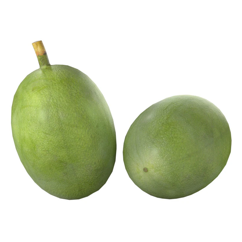 Gr&atilde;o de caf&eacute; verde Modelo 3D .c4d .max .obj .3ds .fbx .stl .blend 