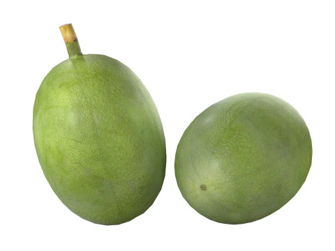 Gr&atilde;o de caf&eacute; verde Modelo 3D