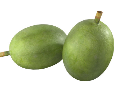 Green coffee bean Modelo 3D