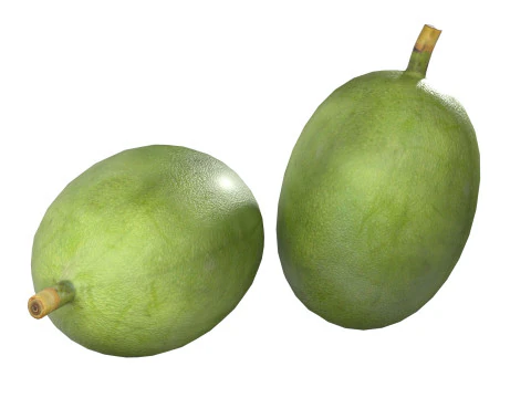 Gr&atilde;o de caf&eacute; verde Modelo 3D