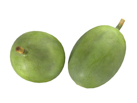 Gr&atilde;o de caf&eacute; verde Modelo 3D