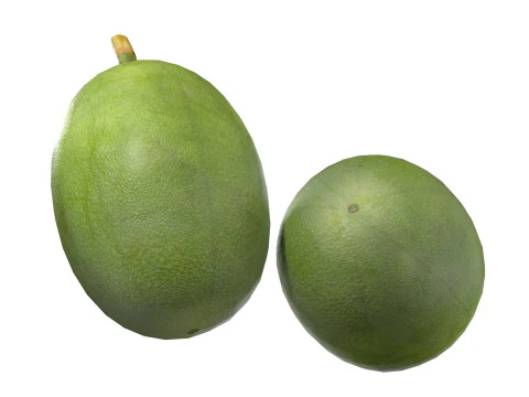 Gr&atilde;o de caf&eacute; verde Modelo 3D