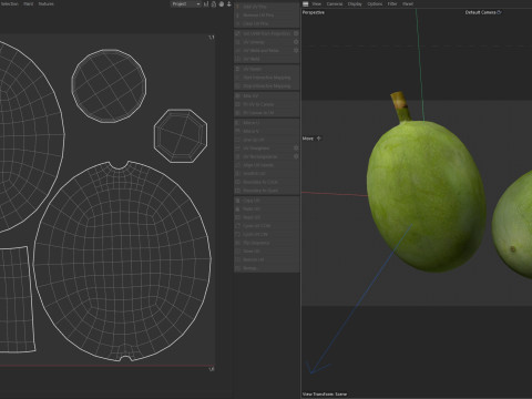 Green coffee bean Modelo 3D