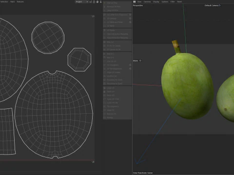Gr&atilde;o de caf&eacute; verde Modelo 3D