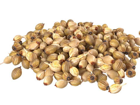 Coriander seed pile 3D Model