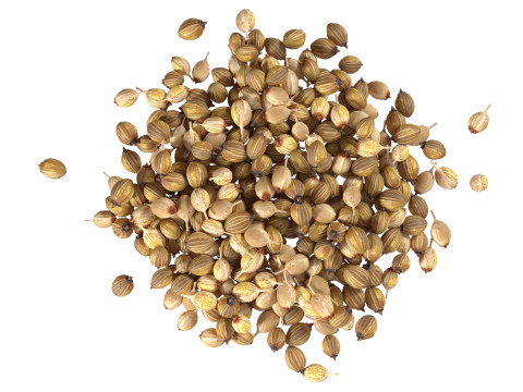 Coriander seed pile 3D Model