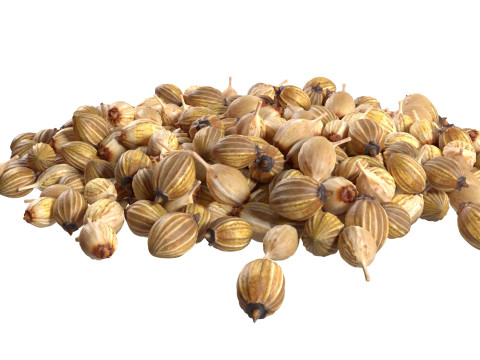 Coriander seed pile 3D Model