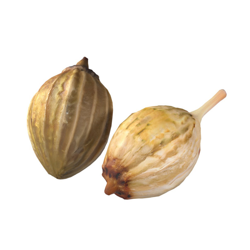 Coriander seeds 3D Model .c4d .max .obj .3ds .fbx .stl .blend