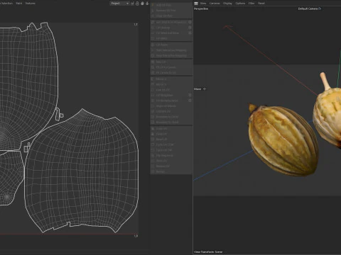 Coriander seeds 3D Model