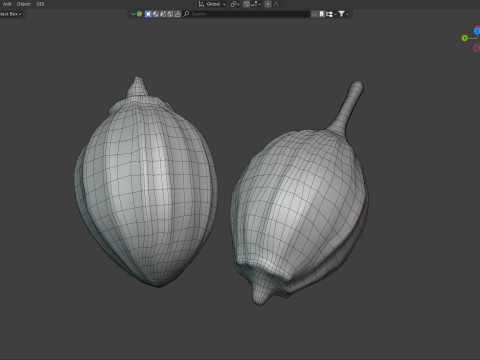 Coriander seeds 3D Model