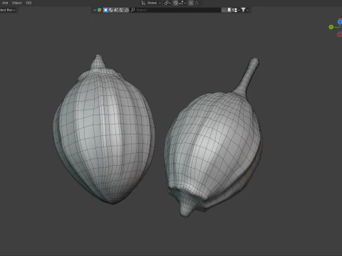 Coriander seeds 3D Model