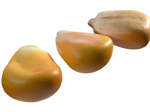 Coriander seeds 3D Model