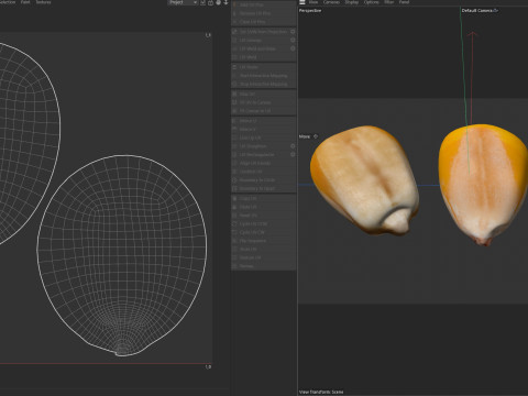 Coriander seeds Modelo 3D
