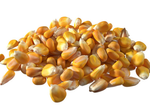 Coriander seed pile Modelo 3D