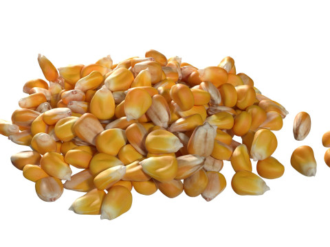 Coriander seed pile Modelo 3D