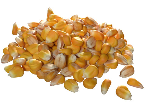 Coriander seed pile Modelo 3D