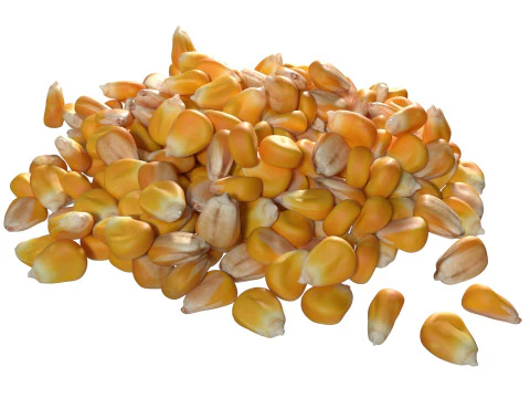Coriander seed pile 3D Model