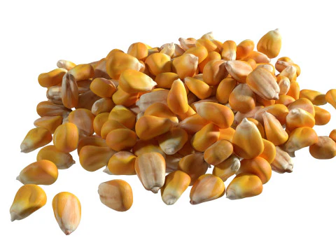 Coriander seed pile 3D Model