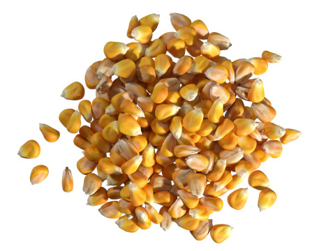Coriander seed pile Modelo 3D