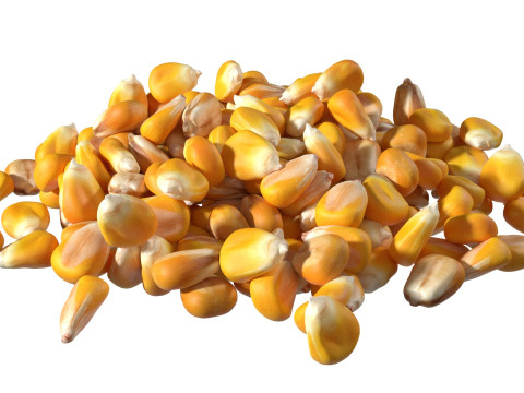 Coriander seed pile Modelo 3D