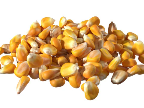Coriander seed pile 3D Model