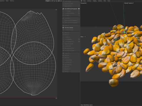 Coriander seed pile Modelo 3D