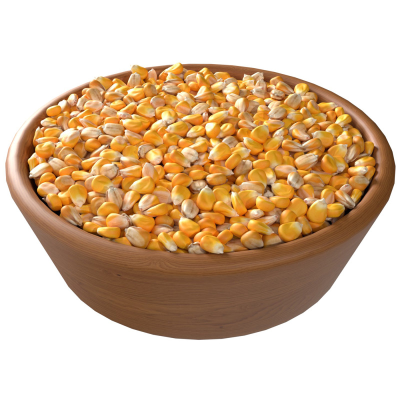 Corn seed bowl 3D 모델 .c4d .max .obj .3ds .fbx .stl .blend
