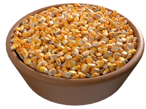 Corn seed bowl 3D 모델