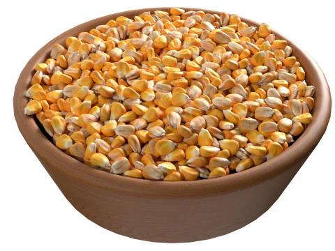 Corn seed bowl 3D Model