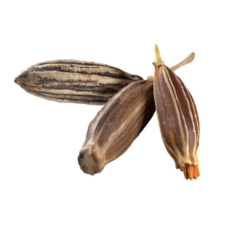 Kimyon 3D Model .c4d .max .obj .3ds .fbx .stl .blend 