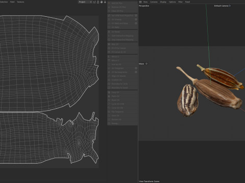 Cumin Modelo 3D